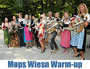 Mops Wiesn-Warm-Up im Biergarten des Augustinerkellers (Foto: Ingrid Grossmann)